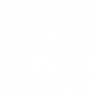 Blank white background.