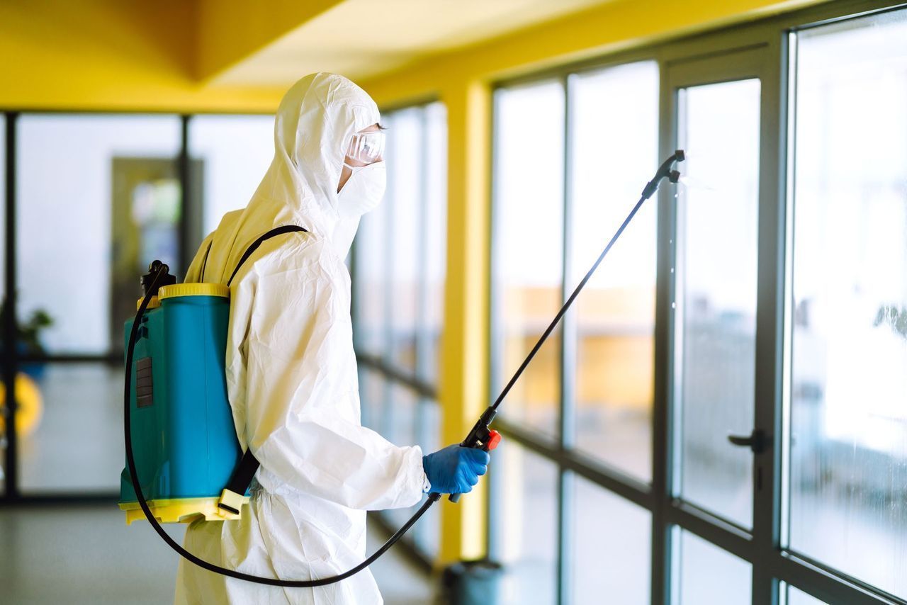 The Ins and Outs of Controlling Pests in the Workplace