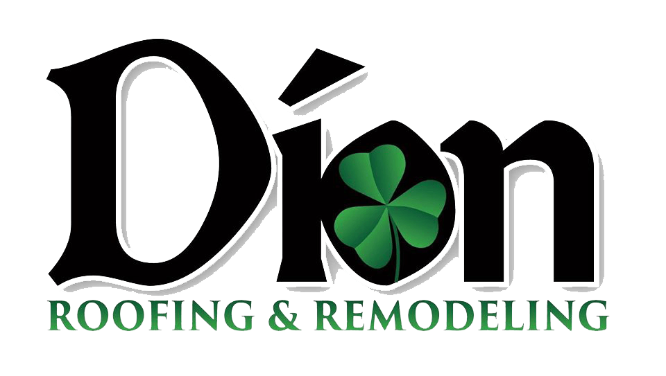 Dion Logo