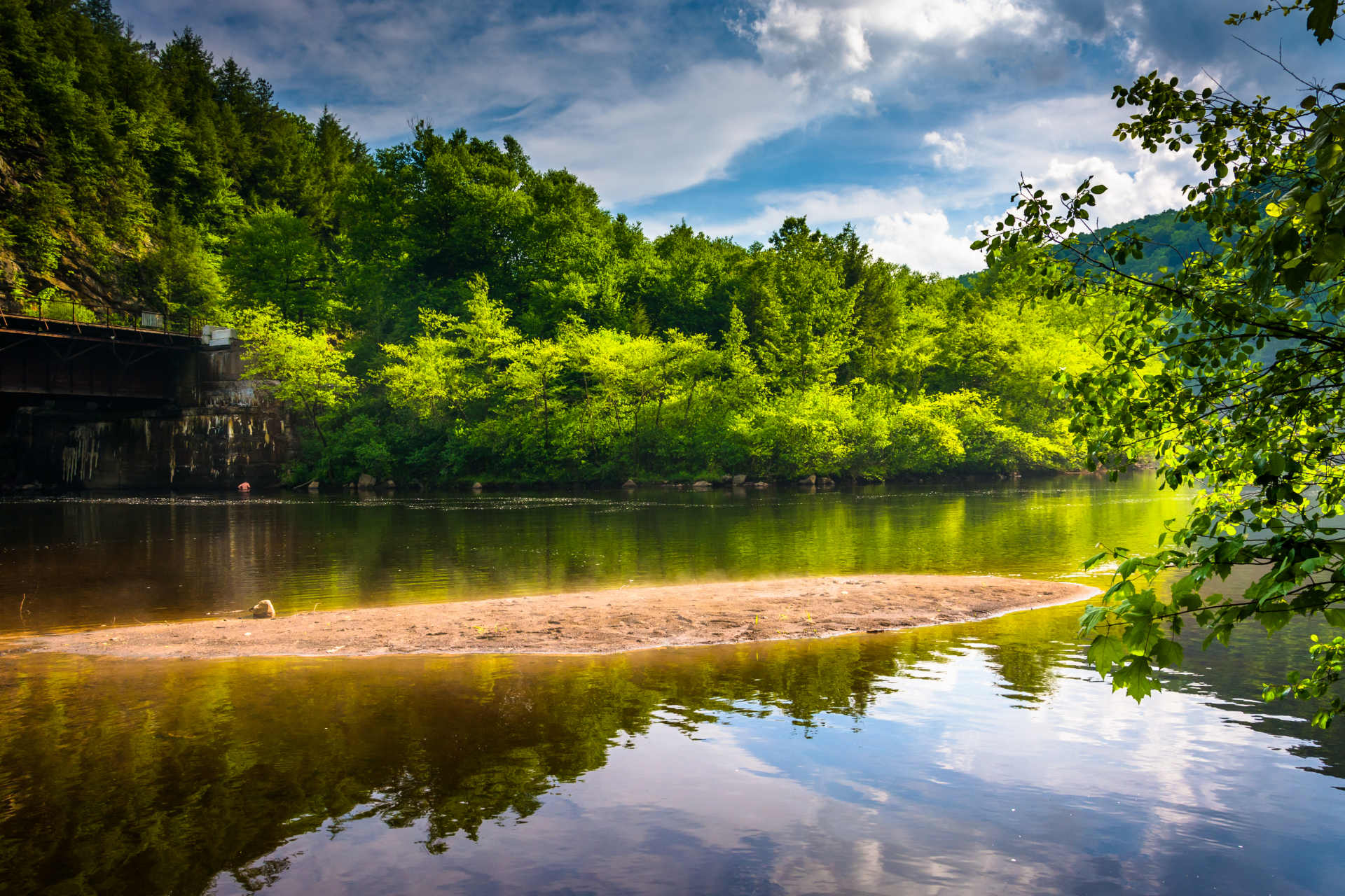 Sunlit forest and river with blue sky, green trees, and reflections on calm water
