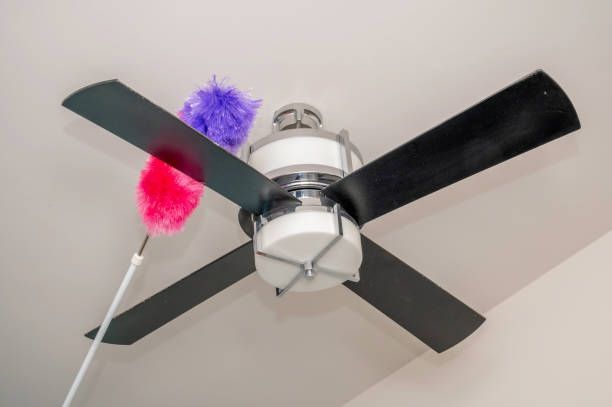 A ceiling fan being dusted with two colorful feather dusters; purple and pink.
