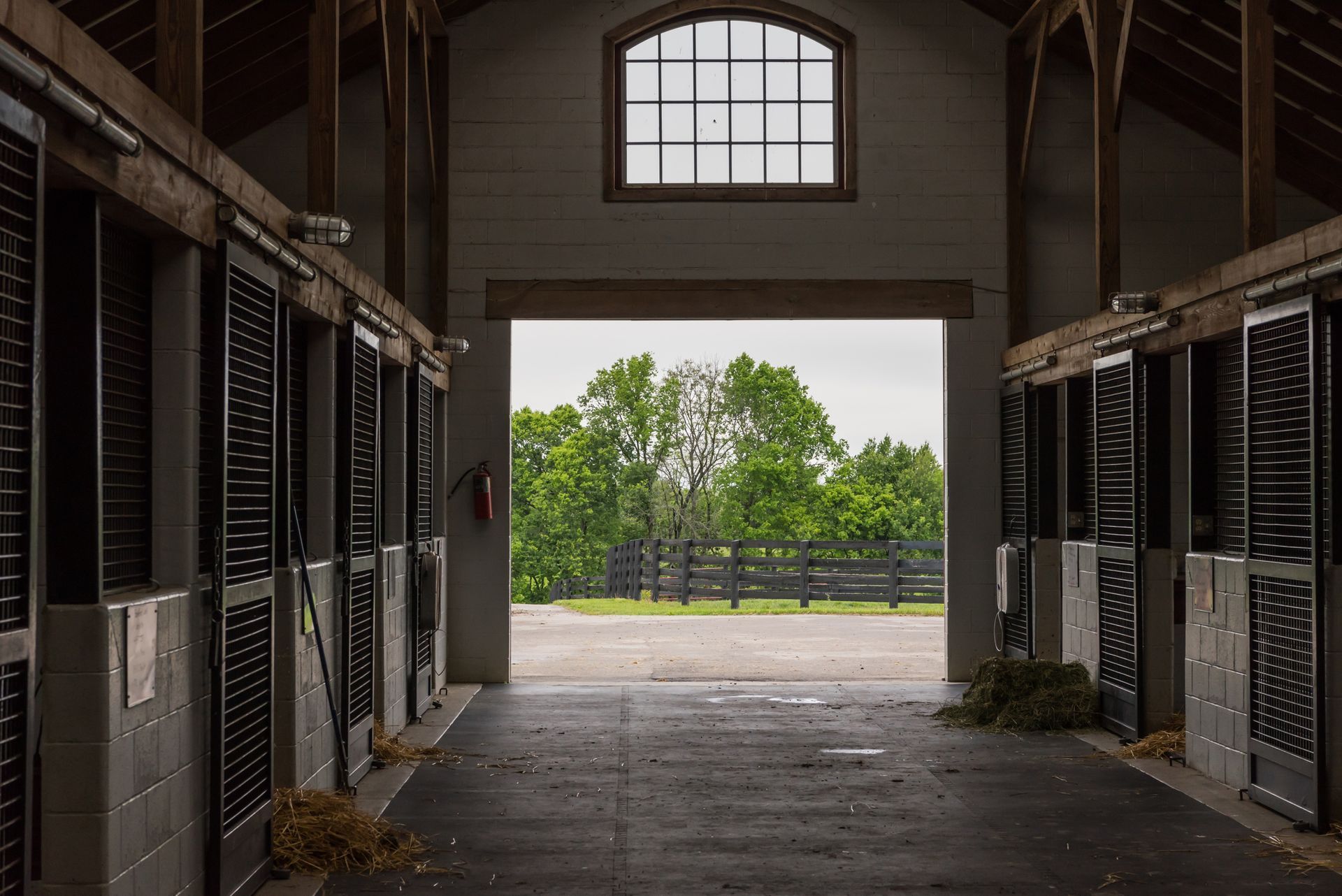 Interior of a stable looking out to green trees and a black fence.