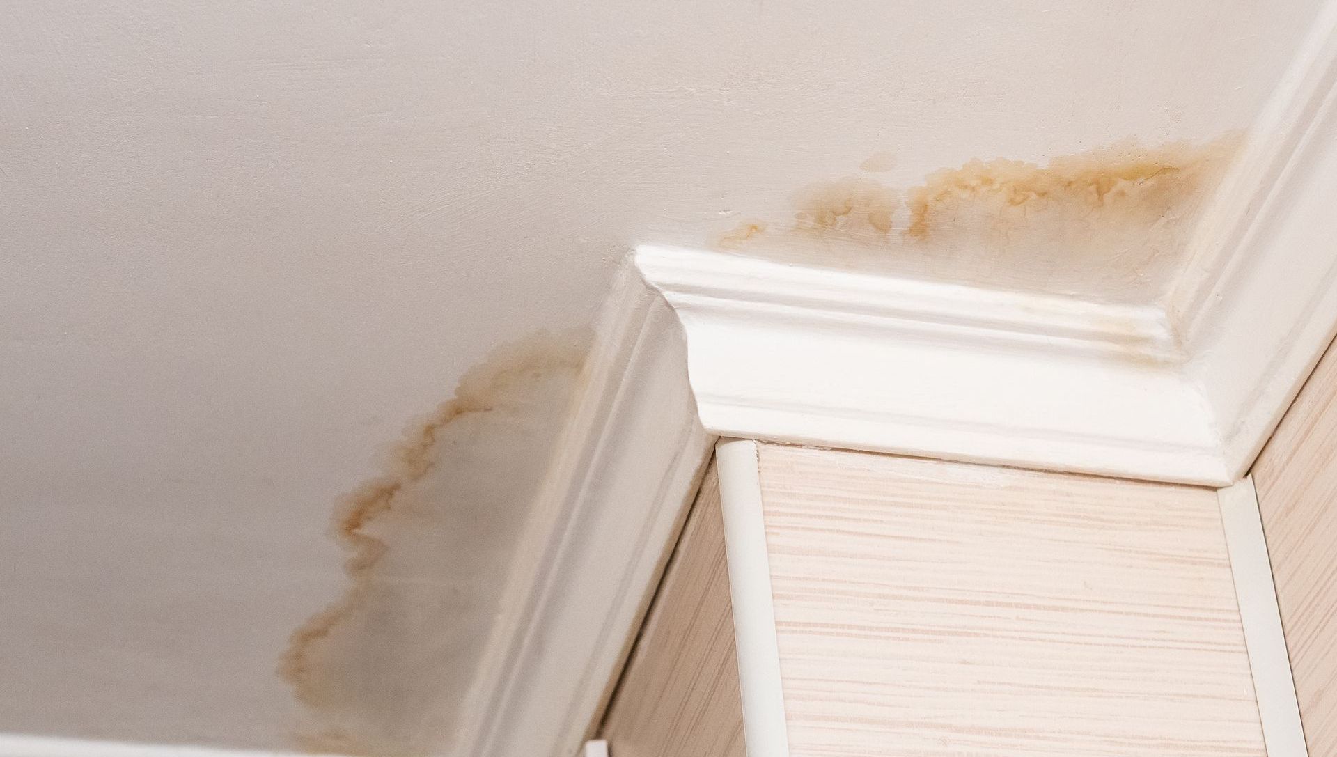 Leaking Roof