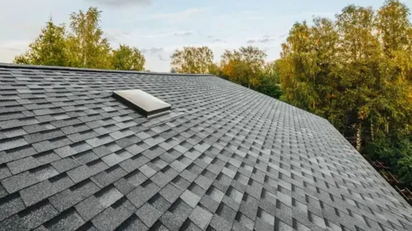 Roof shingles