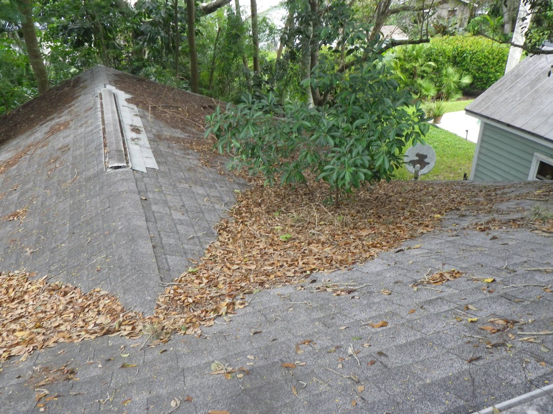 Roof Debris