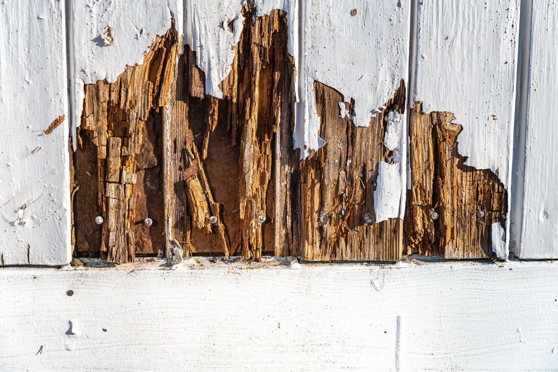 Rotted Siding