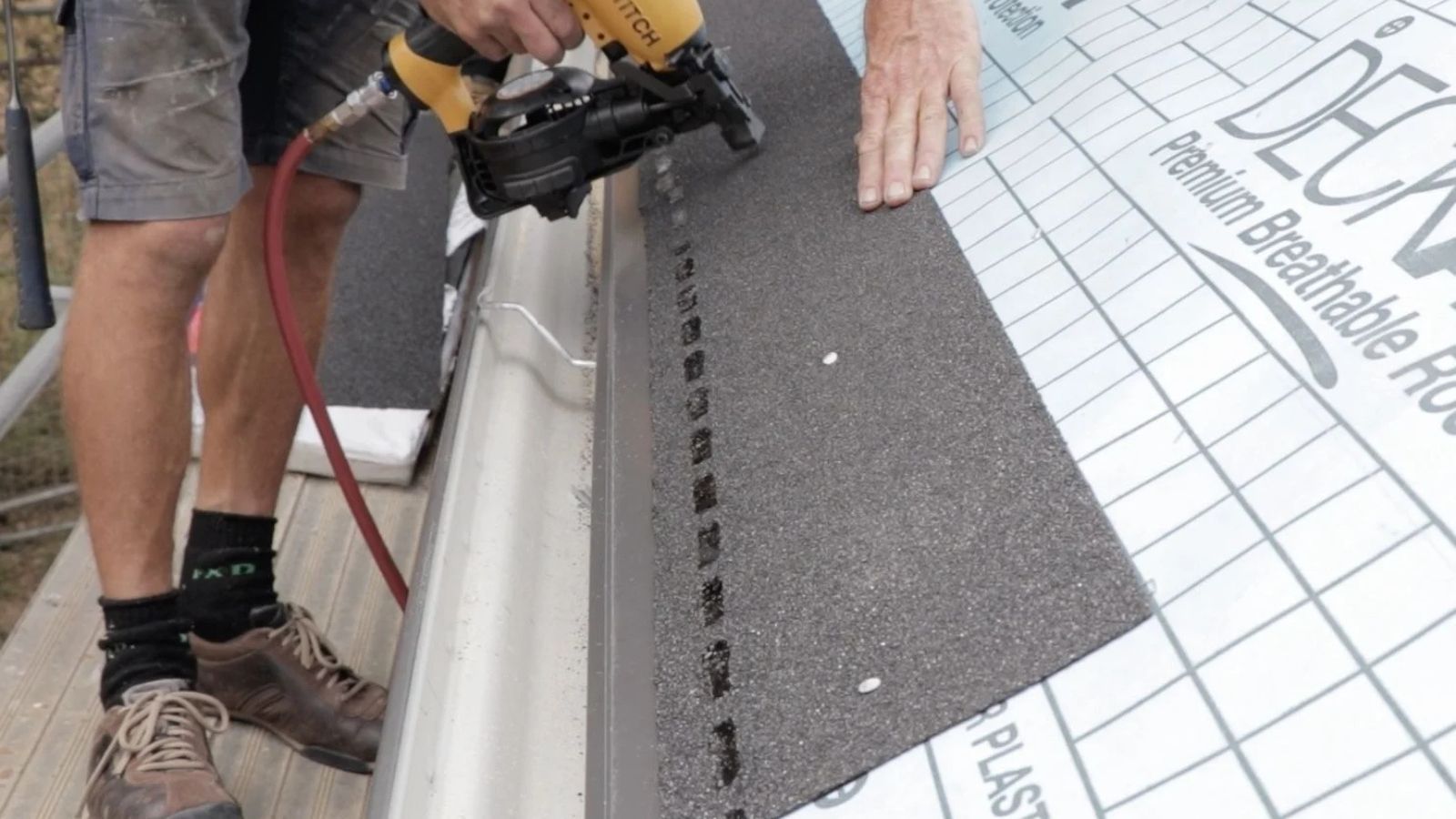 Starter shingles