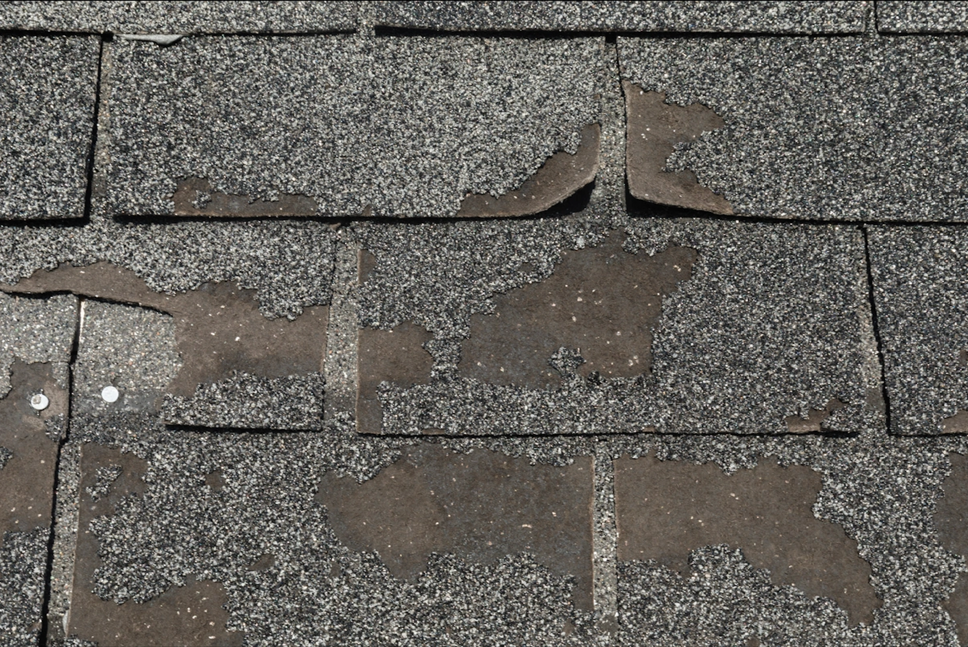 Damaged Shingle