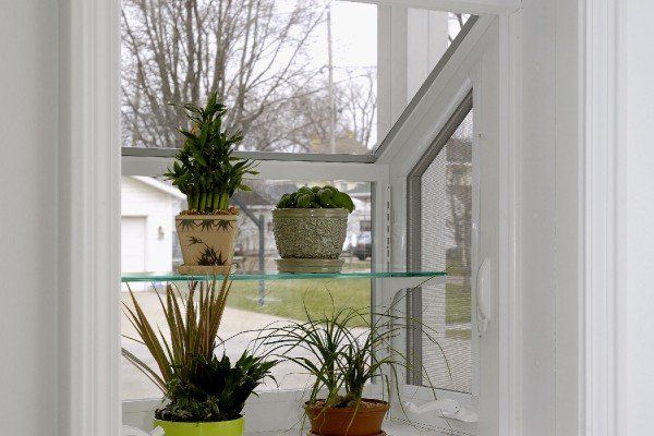 Three potted plants are on a glass shelf in front of a window