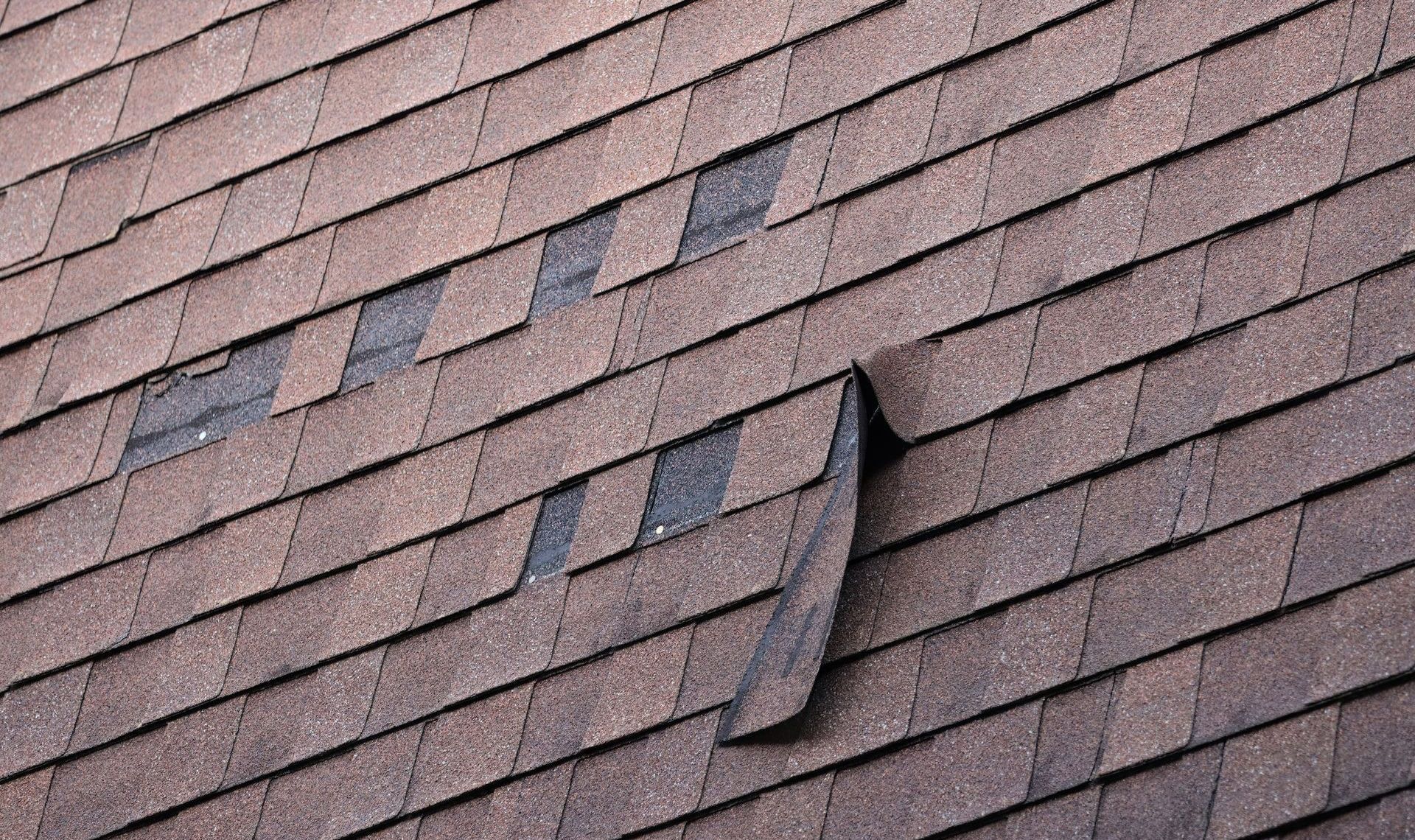 Missing Shingle