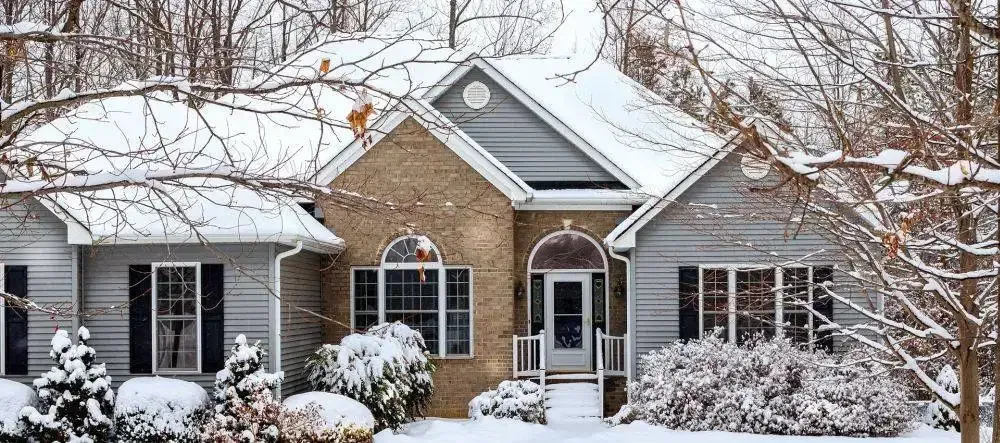 A house is covered in snow and trees are covered in snow.