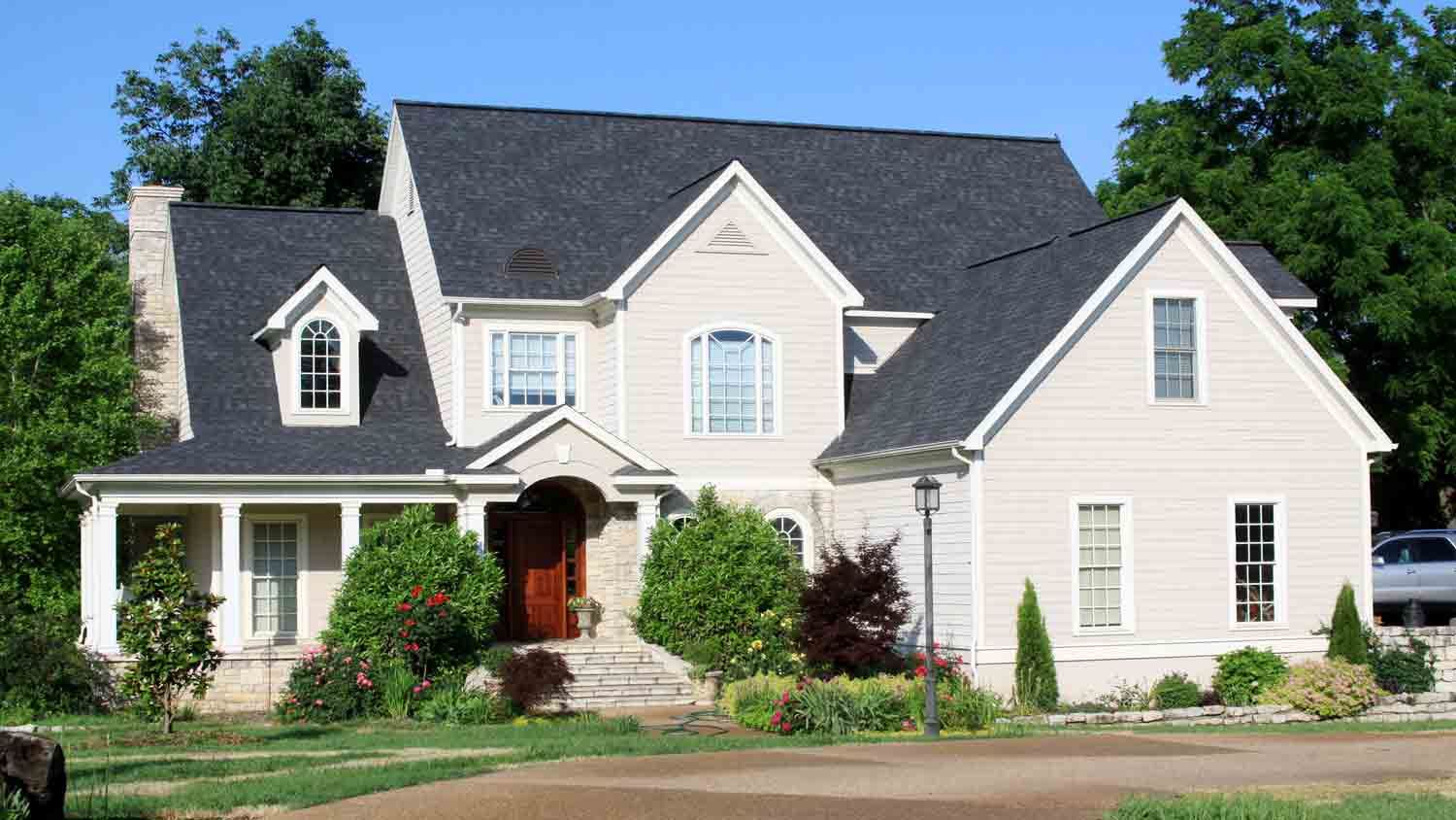 Painted House