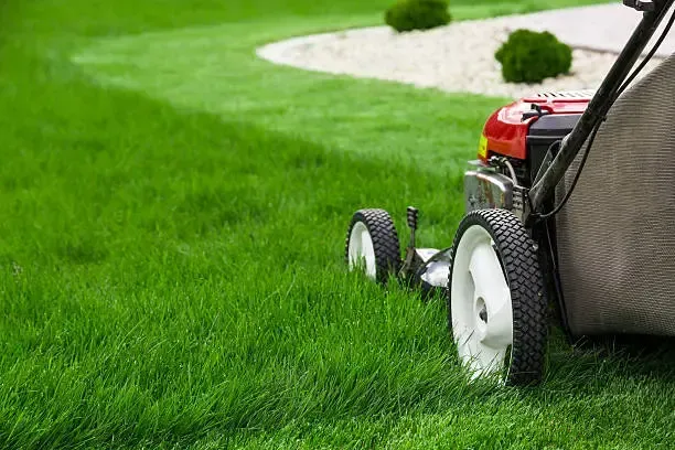 A lawn mower is cutting a lush green lawn.