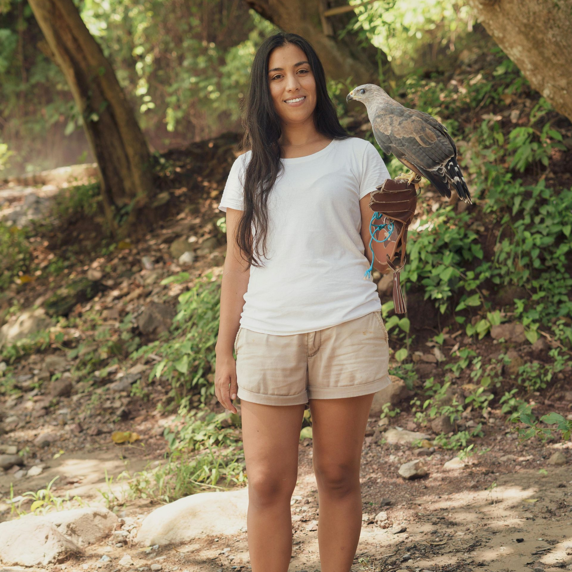 A woman stands in a wooded area wearing a white shirt and shorts, holding a hawk on her gloved hand.