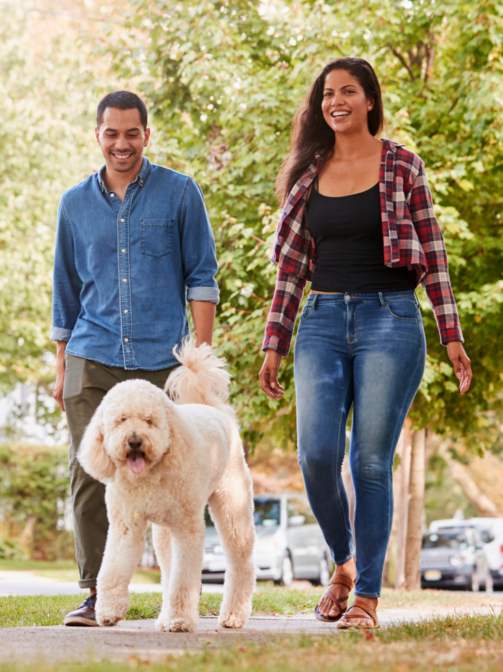 A smiling couple walks with their large, cream-colored dog on a paved path lined with trees on a sunny day.