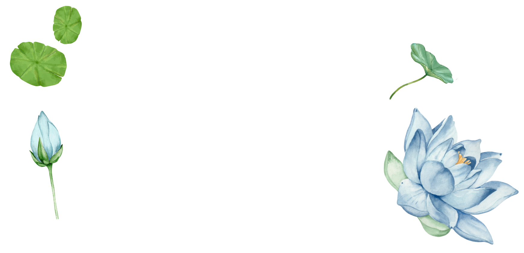 Ribbit Therapy Services LLC Logo