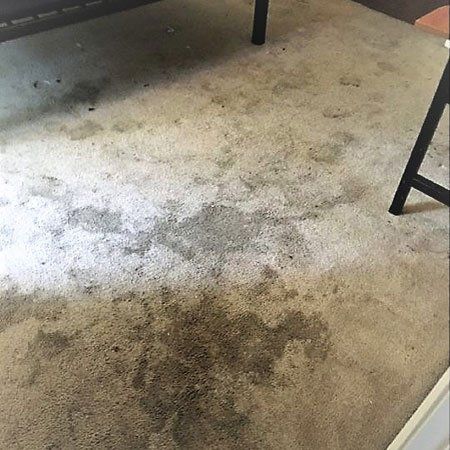 large stain on carpet
