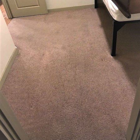 fresh cleaned carpet