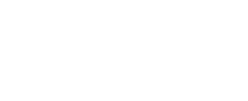 Mostly blank white image with a thin black line and a small brown patch at the bottom.