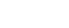 Mostly blank white image with a thin black line and a small brown patch at the bottom.