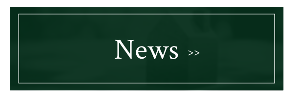 Green rectangular button labeled “News »” with a white border