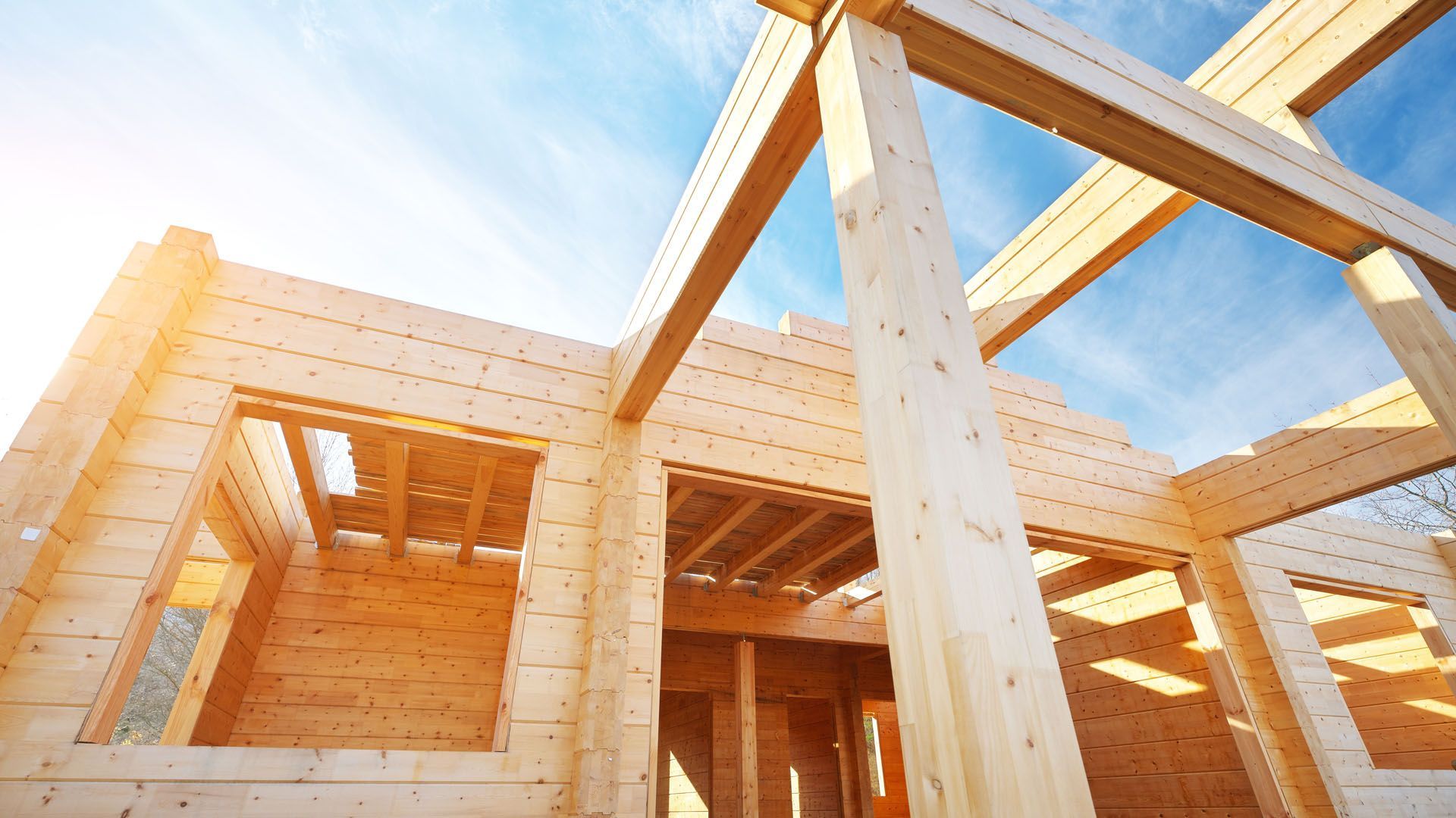 The raw timber frame of a house under construction against a bright blue sky.