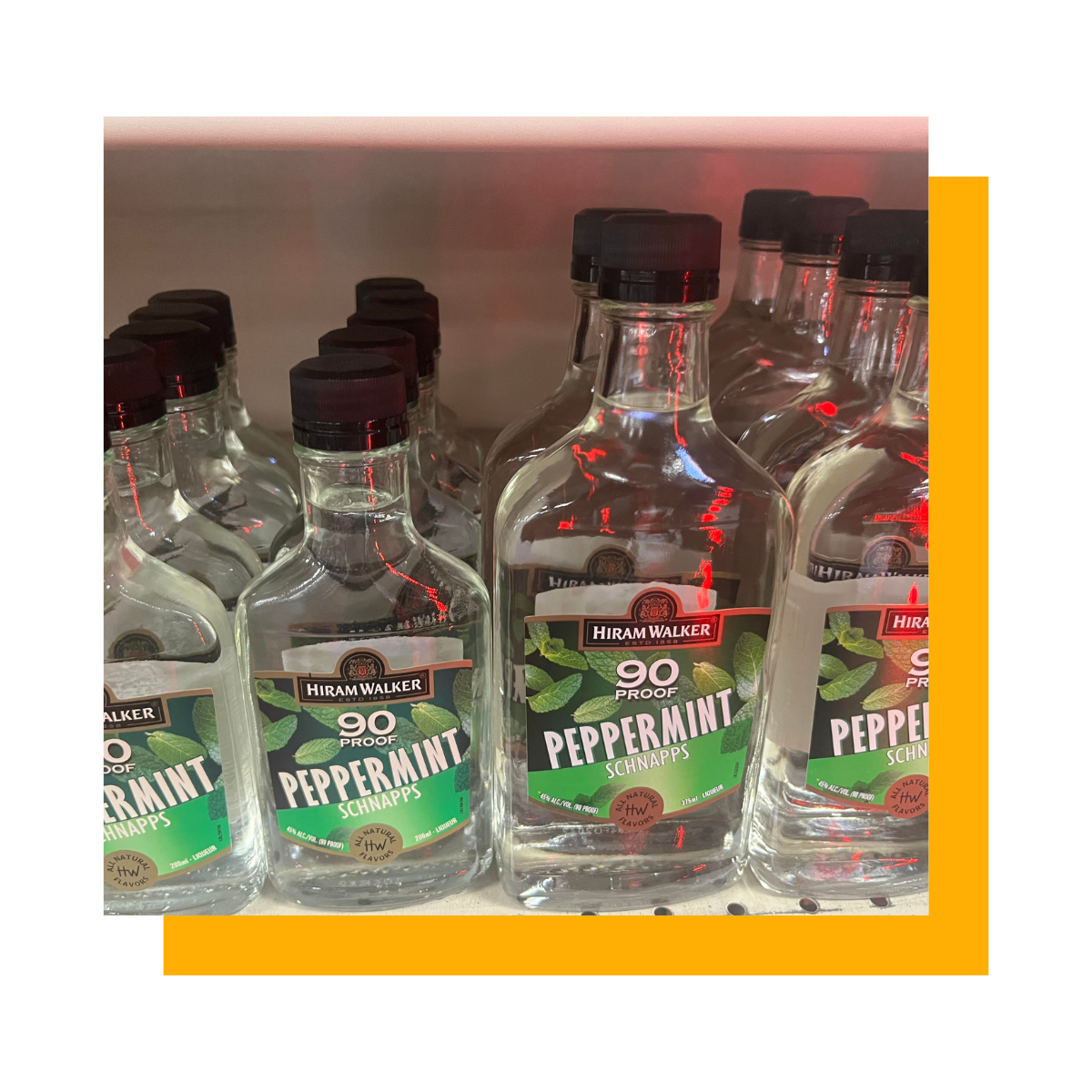 Rows of small, clear peppermint schnapps bottles with black caps on a shelf.