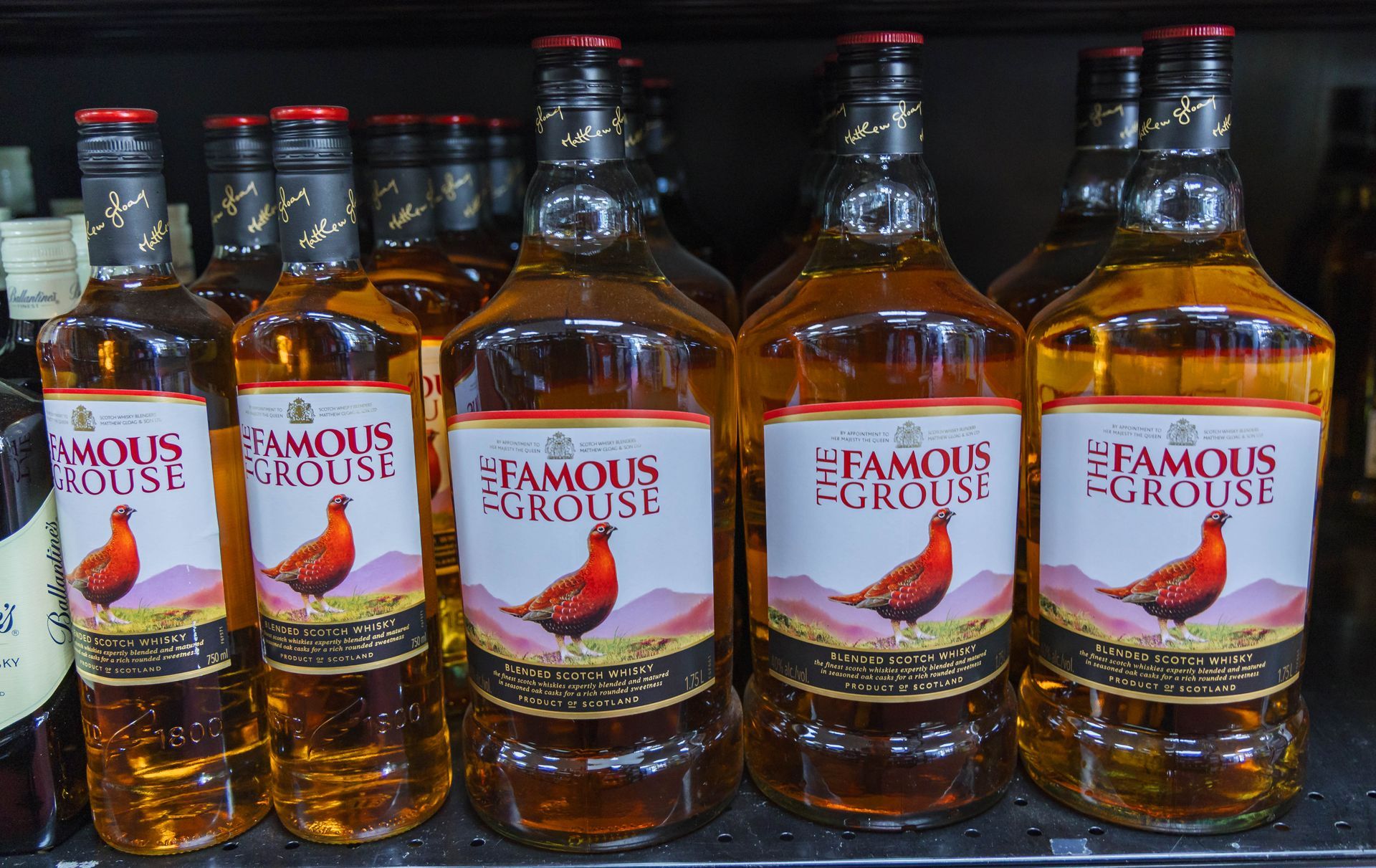 Bottles of Famous Grouse scotch whisky on a store shelf.