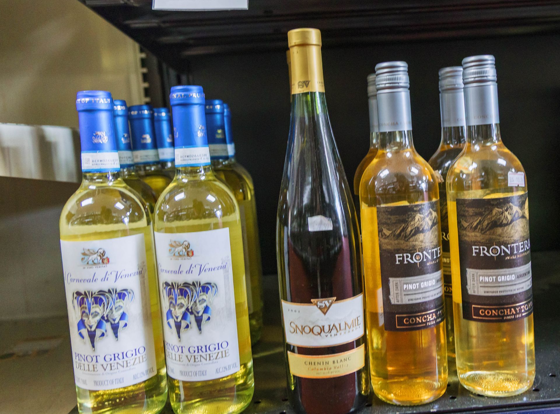 Bottles of white wine on a shelf; various labels and bottle designs, clear glass, blue and gold labels, sunlight.