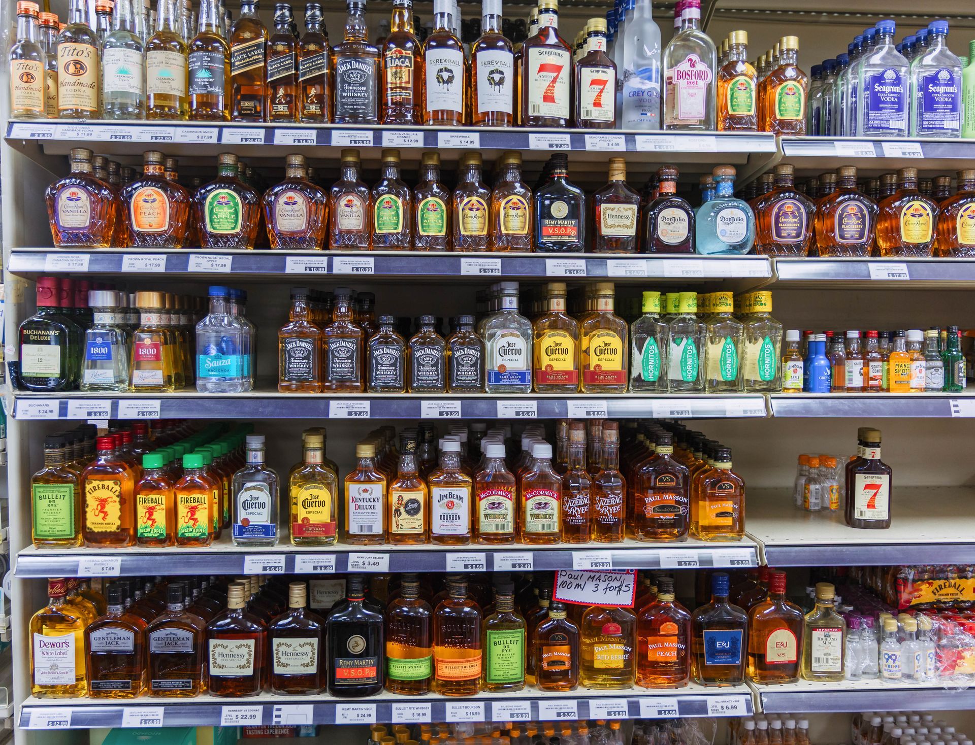 Shelves filled with various liquor bottles in a store.