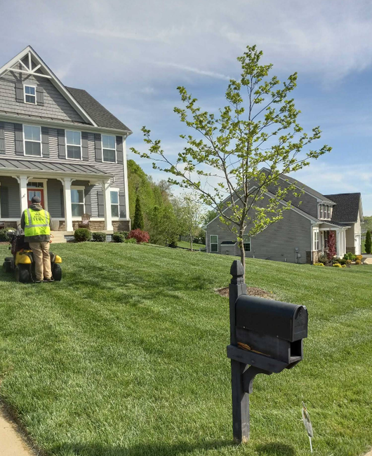 A man is mowing a lush green lawn in front of a house.