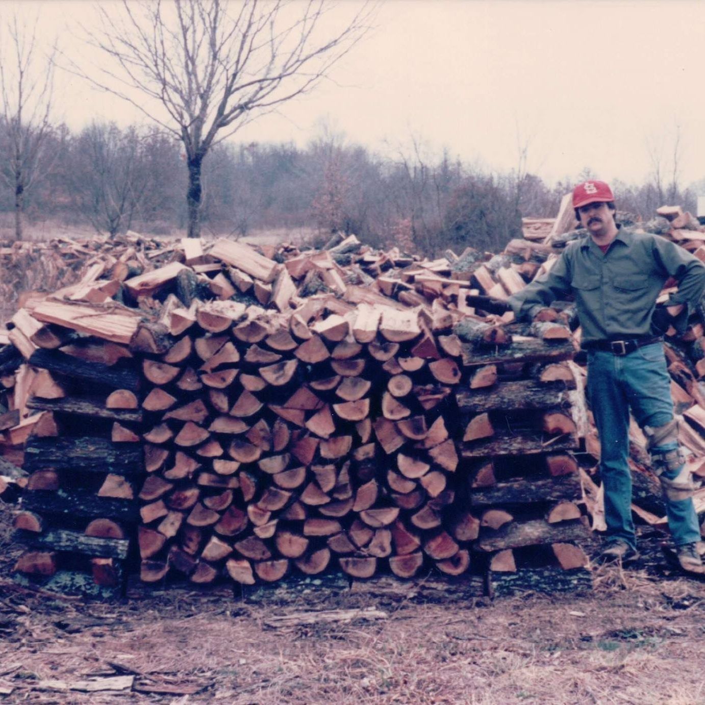 Seasoned Firewood