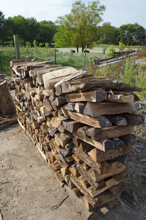 St Louis Seasoned Firewood For Sale Delivery Included