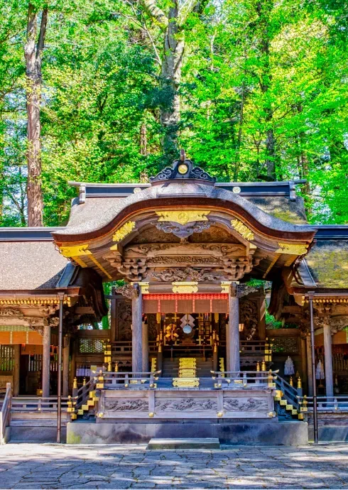 エクスペリエンス長野について