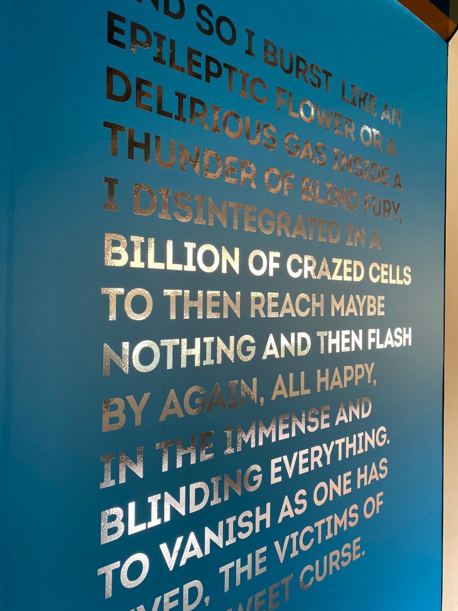 vetrofania con sfondo blu opaco e scritta