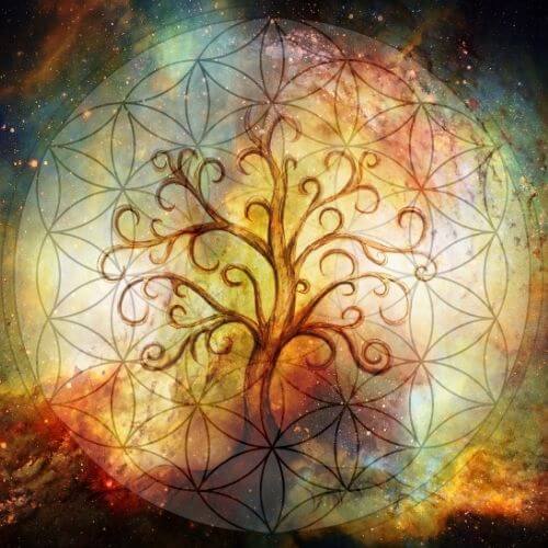 Tree of life seed of life - Spiritual direction and Mentorship