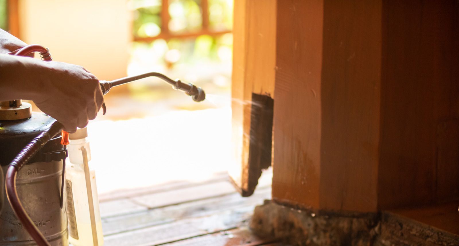 Person spraying insecticide on a wooden structure, possibly a house post.