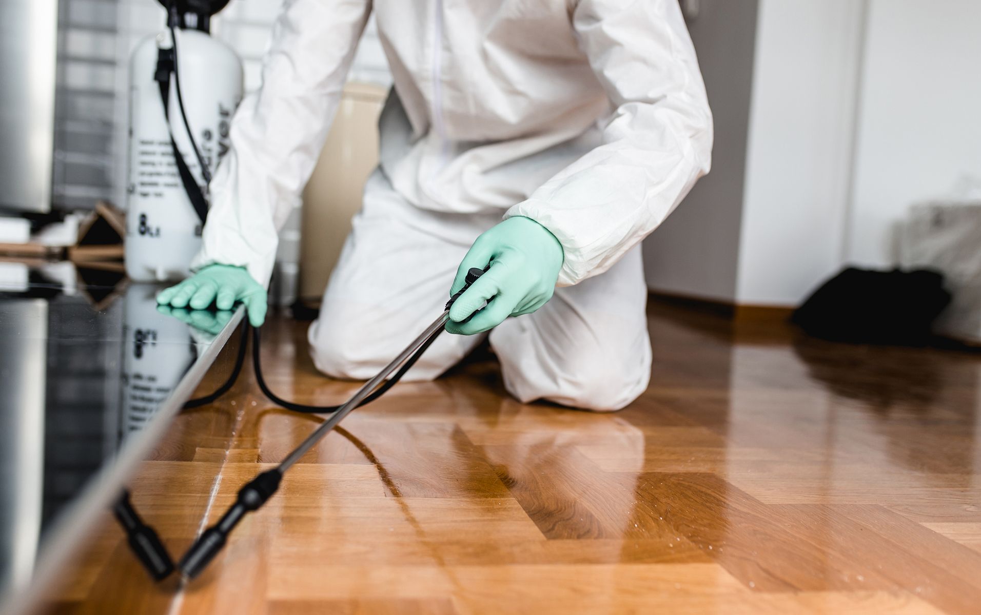 Person in protective suit spraying a wooden floor with a pest control sprayer.