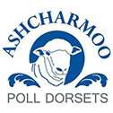 Logo for Ashcharmoo Poll Dorsets. White sheep in a blue circle, blue text on white background.