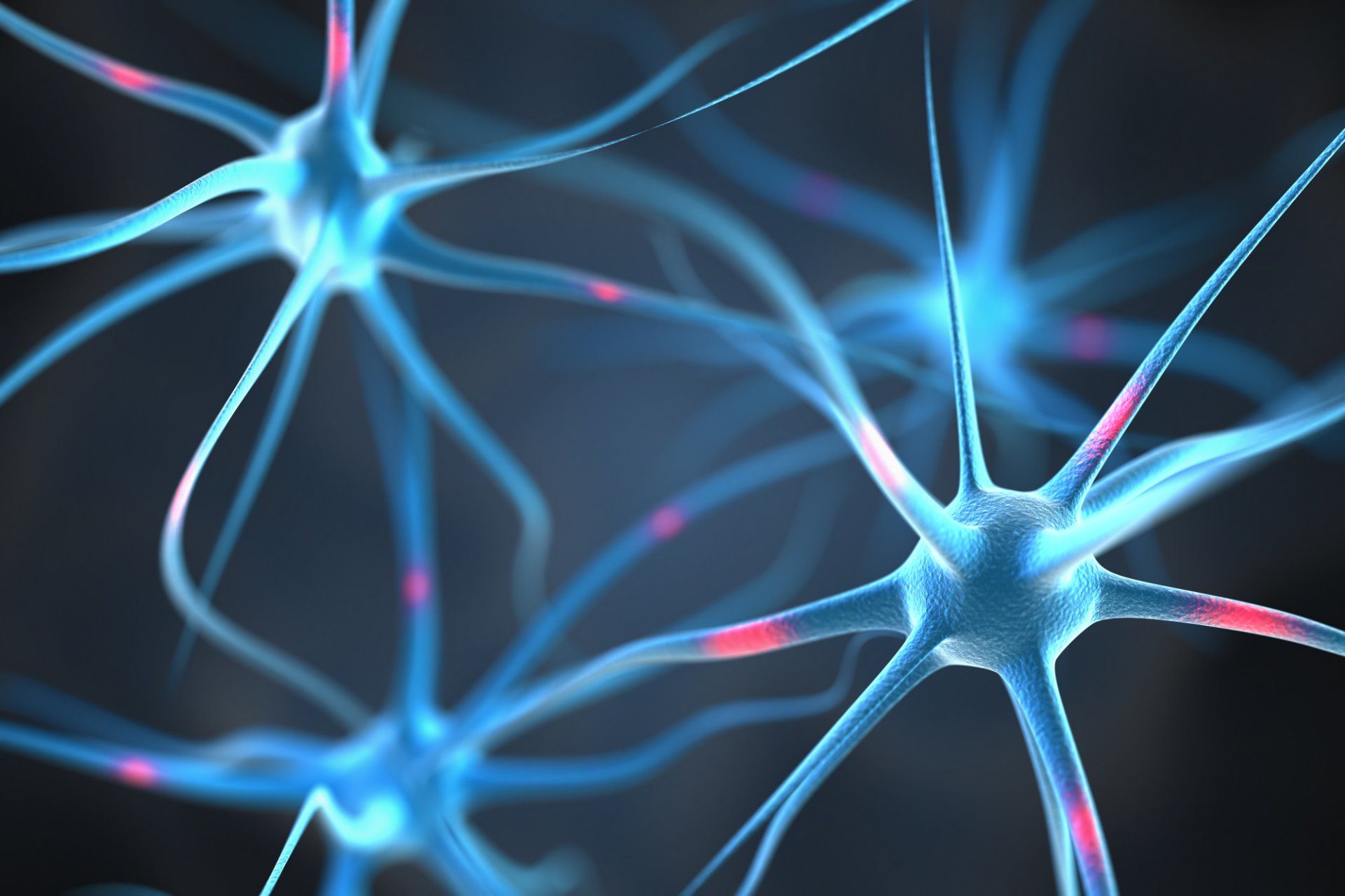 riproduzione neuroni