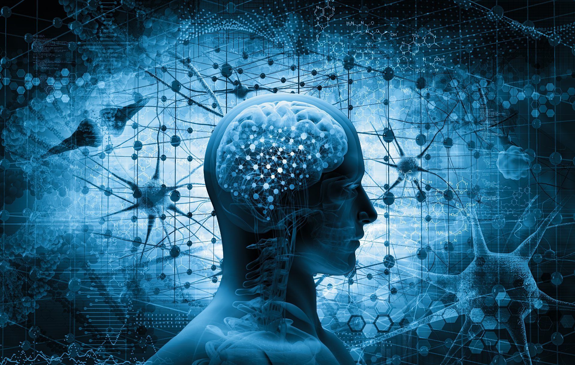 testa umana con cervello riproduzione grafica digitale