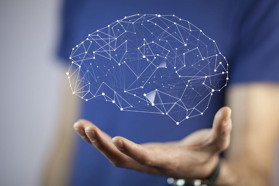 Modellino di cervello con stetoscopio