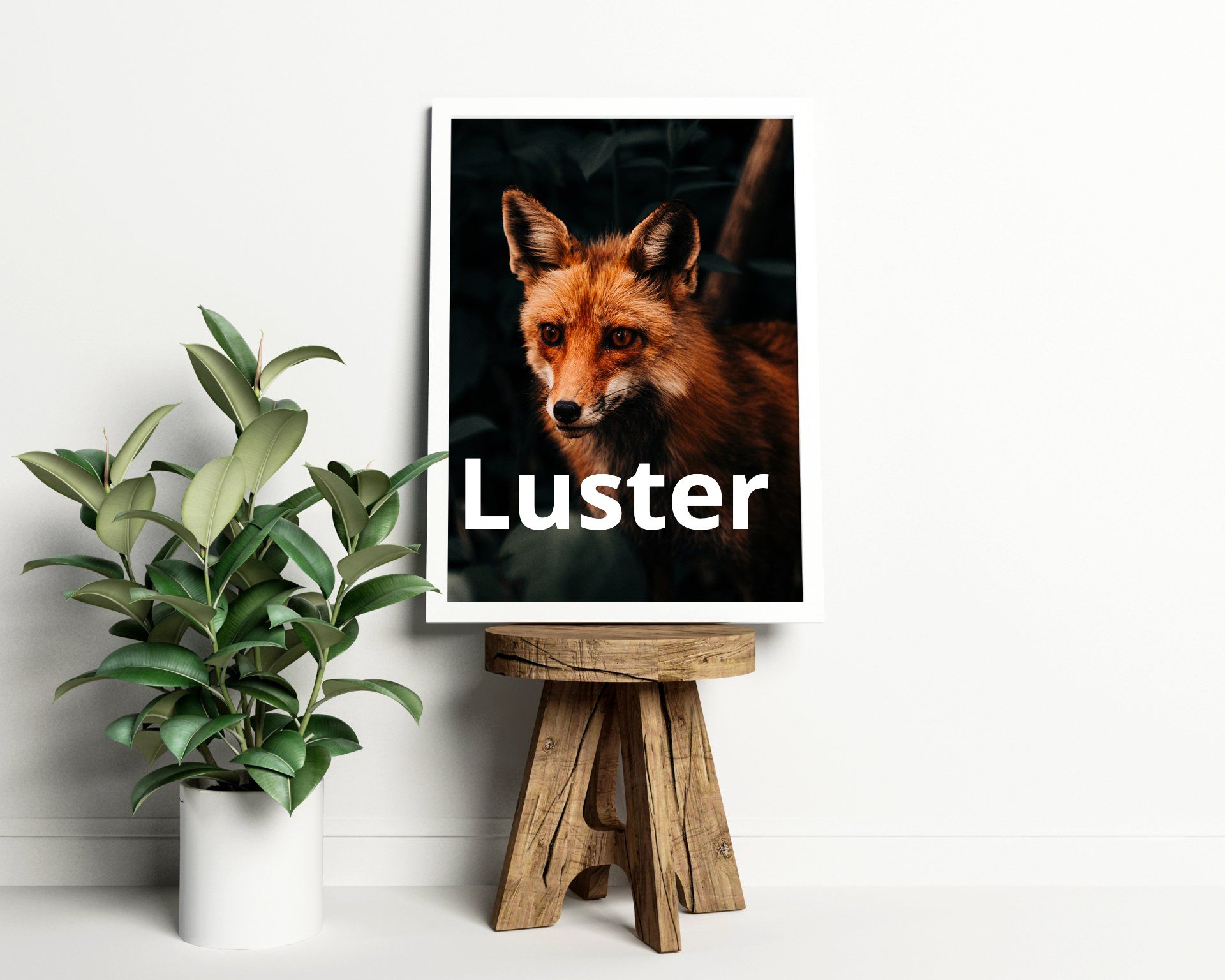 Luster Paper