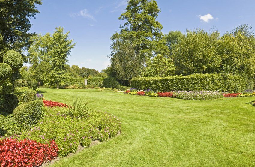Landscaping