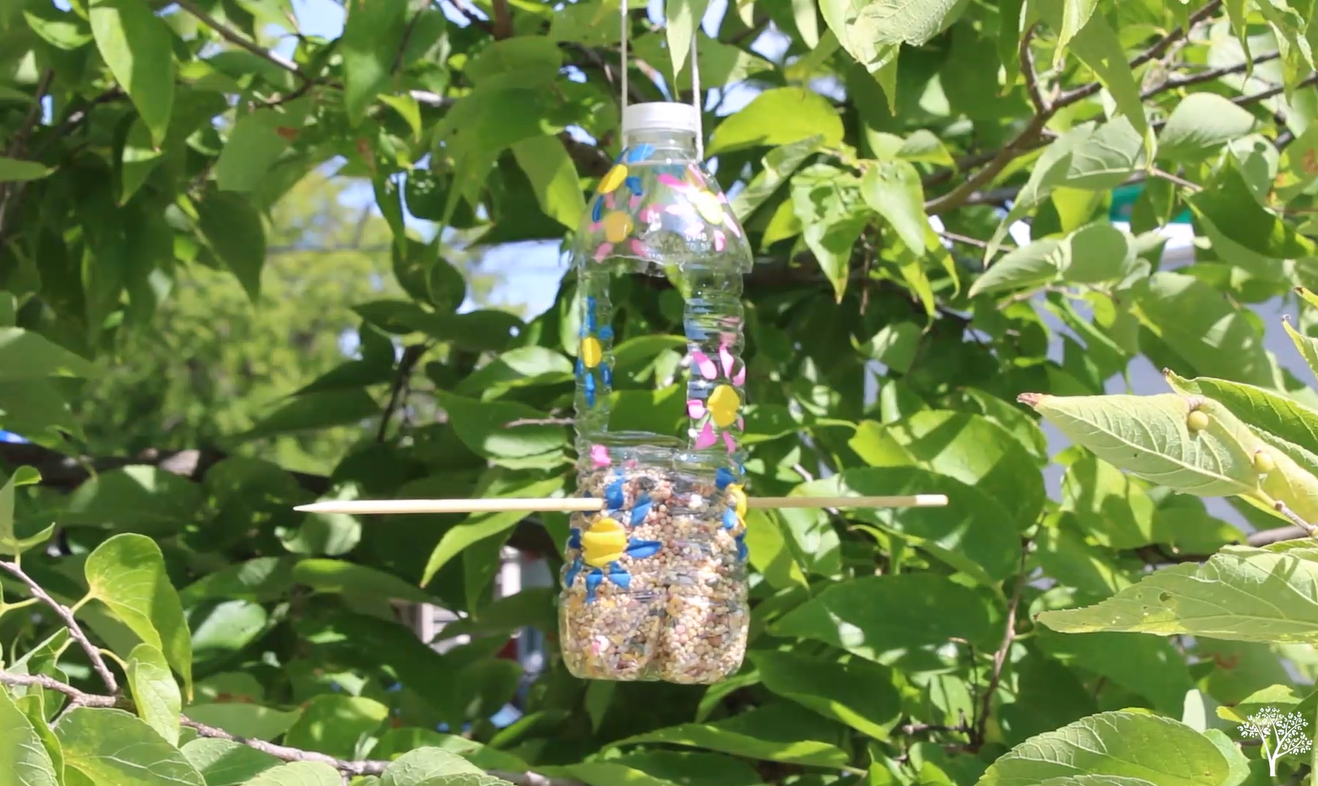 DIY Upcycled Bird Feeder   Capture3 1920w.PNG