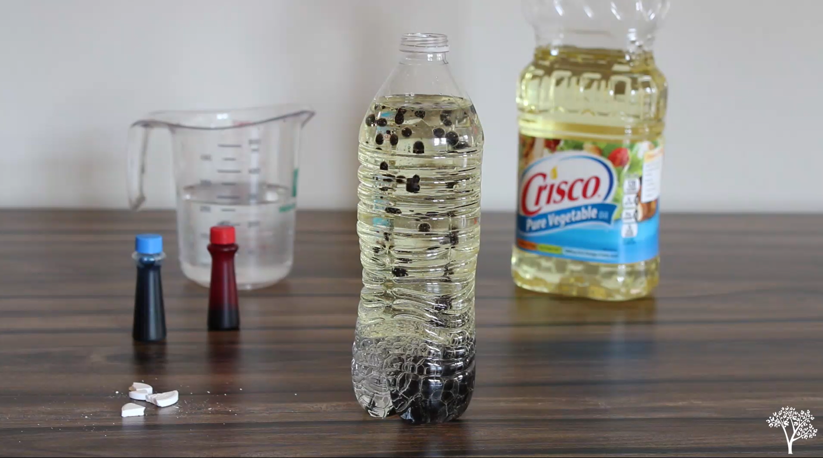 DIY Lava Lamp STEM Activity