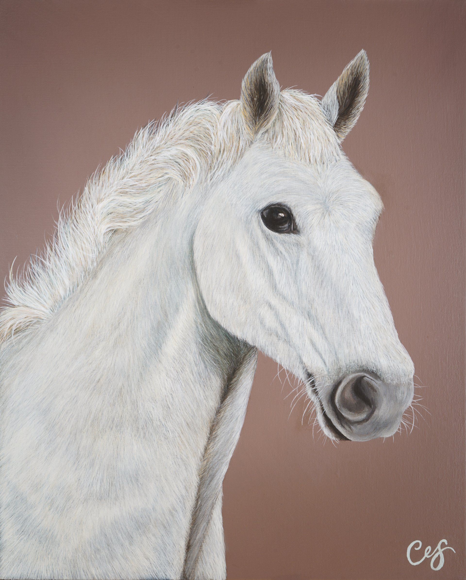 A horse portrait painting of a white horse on a brown background  by london based pet portrait artist Charlotte Sutton