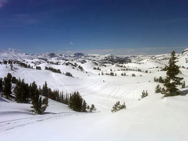 Snowy mountain landscape with pine trees under a clear blue sky