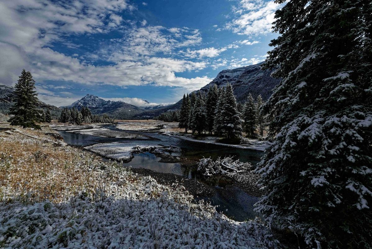 Snowy mountain river under a blue sky with clouds, pine trees, and rocky peaks.