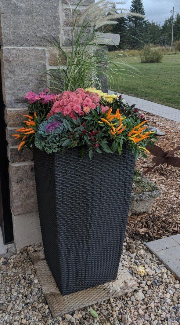 fall container  planted with flowers
